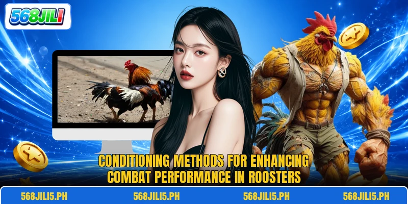 Conditioning methods for enhancing combat performance in roosters Conditioning methods for enhancing combat performance in roosters