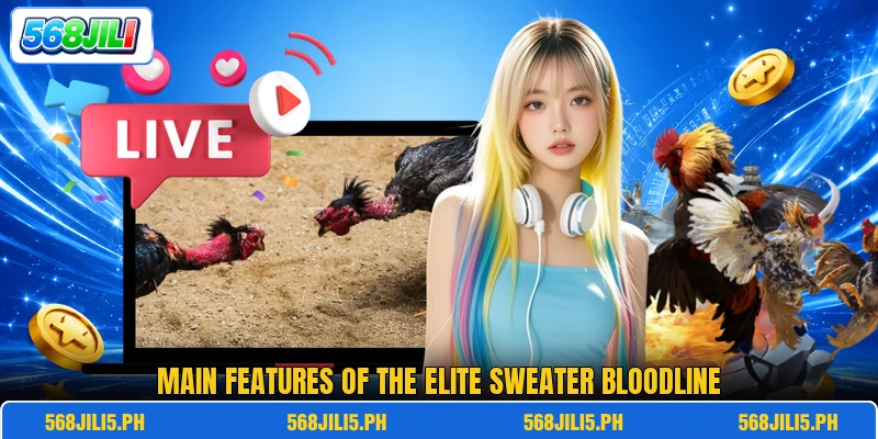 Main features of the elite sweater bloodline Main features of the elite sweater bloodline