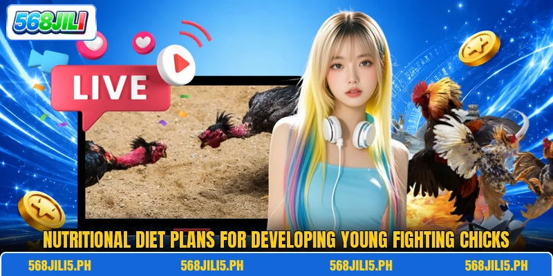 Nutritional diet plans for developing young fighting chicks Nutritional diet plans for developing young fighting chicks