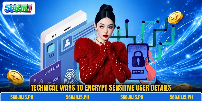 Technical ways to encrypt sensitive user details