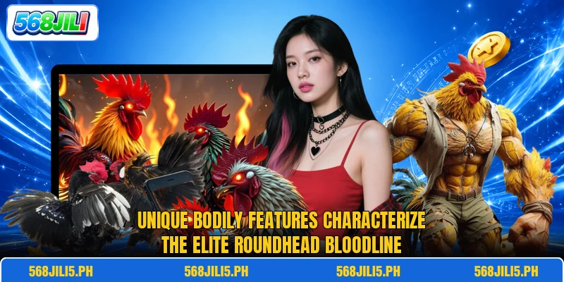 Unique bodily features characterize the elite roundhead bloodline Unique bodily features characterize the elite roundhead bloodline