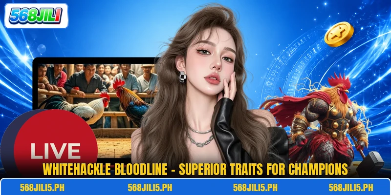 Whitehackle Bloodline - Superior Traits For Champions Whitehackle Bloodline - Superior Traits For Champions